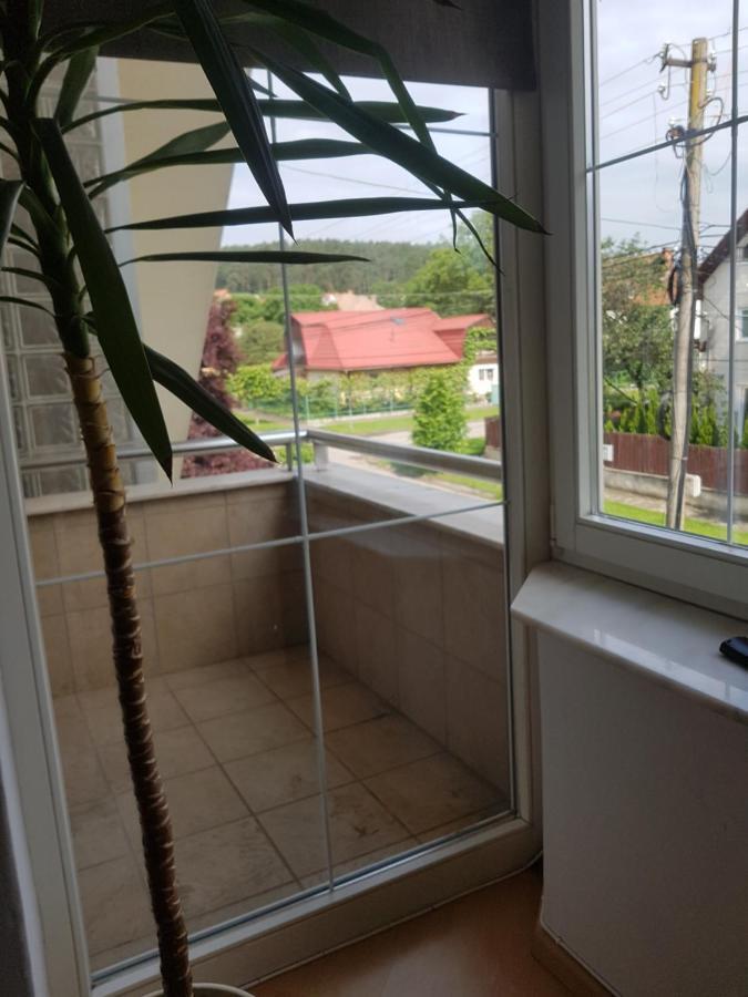 Lara Guest House Сфынту-Георге Экстерьер фото